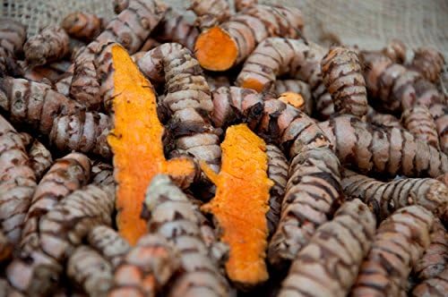 (1/2 LB) Turmeric Root (Curcumin) - Whole Raw Organic Root - Grown By Bhanu Indian Grocery in California | Free Shipping USA| (1/2 LB)