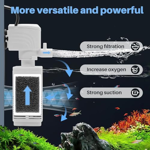Homodoskey Acrylic Fish Aquarium Ultra Clear, Turtle Tank Starter Kit with Light & Filter, Innovative Bottom Drainage, Desktop Mini Habitat - Multi-Function Areas for Crabs & Small Reptiles (Size L)