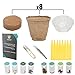 Ashbrook Outdoors Bonsai Starter Kit to Grow 8 Colorful Bonzai Trees - Complete Gardening Set