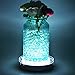 KITOSUN 6inch Under Vase LED Base Light 31pcs LED Bulb 3aa Battery Operated for Home, Events, Wedding, Celebrations Centerpiece Under Vase Lighting (6inchX1.4inch, White LED)