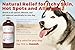Natural Dog Shampoo. Anti-Bacterial-Anti-Fungal- Anti-Itch , Promotes Healthy Hair and Skin, Helps Hot Spots. Shea Butter, Neem and Argan Oil, Aloe Vera and Bentonite. Concentrated-Organic by Moosh