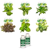 AeroGarden Heirloom Salad Greens Seed Kit (24 pod)