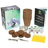 Ashbrook Outdoors Bonsai Starter Kit to Grow 8 Colorful Bonzai Trees - Complete Gardening Set