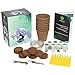 Ashbrook Outdoors Bonsai Starter Kit to Grow 8 Colorful Bonzai Trees - Complete Gardening Set