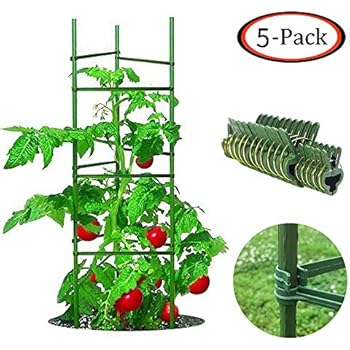 Growsun 5 Ft 5-Pack Tomato Cage Plant Support Garden Stakes, 100 Clips Include