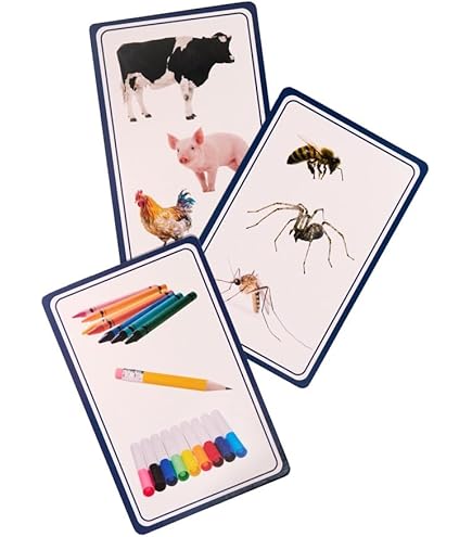 Wild Words Bossy R Phonics Card Game - Educational Reading Fun For First Grade Kids