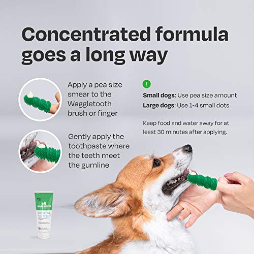 Natural Dog Toothpaste Enzymatic with Probiotics Toothpaste for Dogs