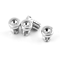 RTRHINOTUNING 50PCS Chrome 7.9mm(0.31in) Wheels