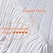 Queen's House Ruffle Skirt Bedspread French Country Bedspread White King Size 3 Piece Set