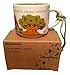 Disney Parks Starbucks You Are Here Animal Kingdom Mug Christmas Tree Ornament