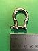 US STAINLESS 5 Pieces Stainless Steel 316 Forged Bow Shackle 3/16