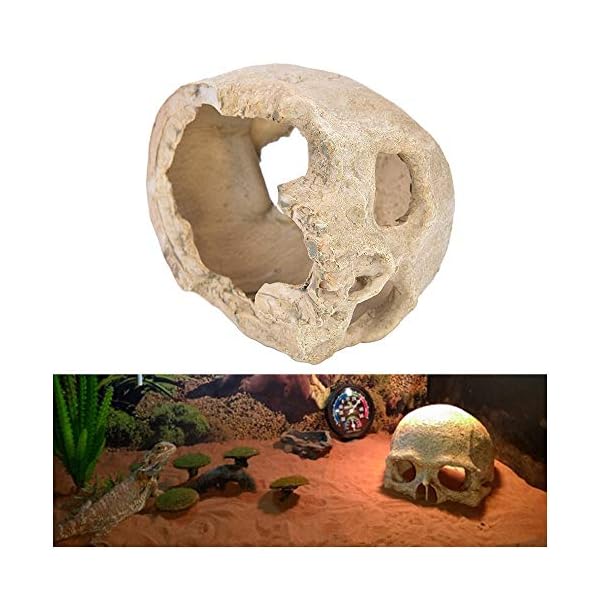 LUCKFY Fish Tank Decoration Rettile Hideout Skull Acquario Rettilario del Cranio della Resina Cave Famiglia giornaliera…