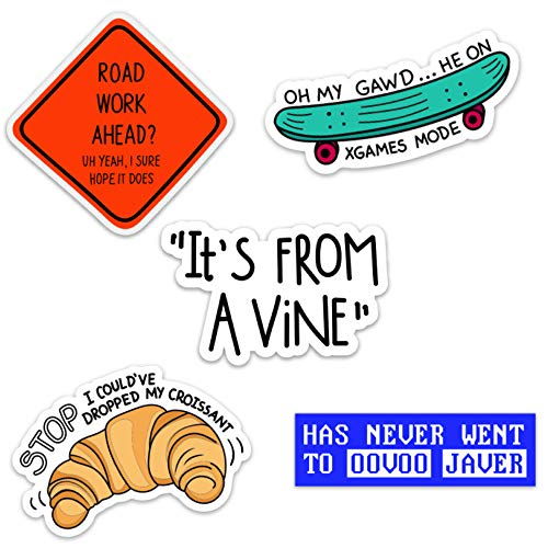 Vine Meme Waterproof Vinyl Sticker Pack for Hydro Flasks, Water Bottles, Laptops, and Phones