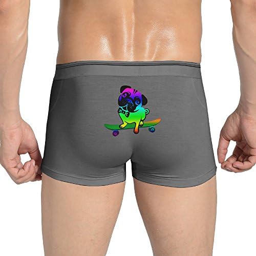 YTVKHFA Rainbow Pug With Skids Men's Underwear Seamless Comfort Soft Stretch Boxer Brief