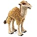 Folkmanis Camel Hand Puppet