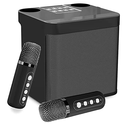 Flyasny Karaoke Machine with 2 Wireless Microphones for Adults and Kids