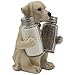 Labrador Retriever Salt and Pepper Shaker Set with Decorative Display Stand Dog Figurine Holder for Lodge & Hunting Cabin Kitchen Decor Table Centerpieces As Puppy Gifts for Hunters