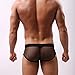 Gotd Mens Sexy Mesh Transparent Underwear Shorts Boxers Underpants Soft Briefs (M, Black)