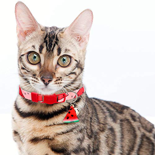 Watermelon Cherry 2 Pack Cat Collar Breakaway with Charm Safe Kitten Collars with Bell - Thumbnail 7