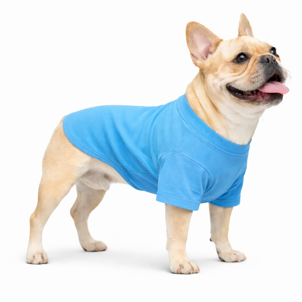 Lovelonglong Bulldog Clothes Dog Clothing Blank T-Shirt Tee Shirts for French Bulldog English Bulldog American Pit Bull Pugs 100% Cotton Skin Care Lake-blue B-S