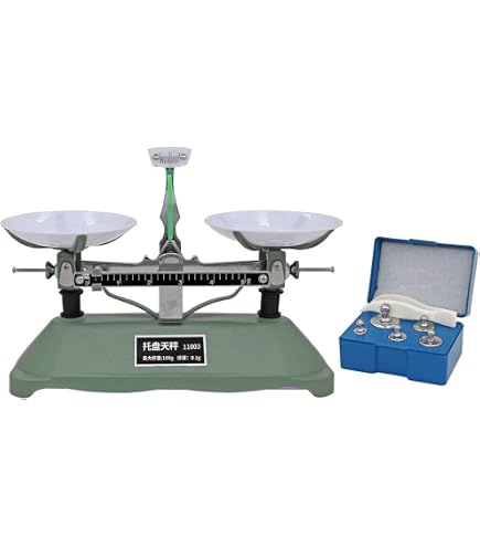 Kids Magnifying Glass Weight Balance Balance Scales 200g/0.2g ...