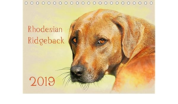 ridgeback 2019
