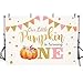 MEHOFOTO Little Pumpkin One Birthday Party Photo Background Banner Fall Autumn Our Little Pumpkin Girl Happy 1st Birthday Pink Gold Dots Backdrops Props for Cake Table Supplies 7x5ft