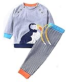 Fiream Boys 2 Piece Cute Cartoon Cotton Long Sleeve set(Penguin,4T)