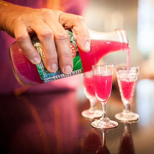 Hamptons Brine Raw Probiotic Sauerkraut Brine - Beets & Jalapenos. Rich in Probiotics. 100% Certified Organic. Fermented… - Image 7