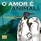 Livro O amor é animal!