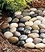 Wind & Weather River Rock Stepping Stones, set of 3