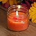 LumaBase Citronella Scented Candle Collection - Set of 3