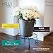 Achla Designs Piazza Flower Pot Plant Stand, Large,Black