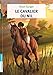 Le Cavalier du Nil (FLAMMARION JEUN) (French Edition) by