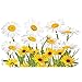 Tervis White Daisies Tumbler with Wrap and Yellow Lid 16oz, Clear