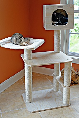 Premium 50" Cat Tree