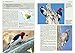 Woodpeckers of the World: A Photographic Guide
