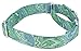 Country Brook Petz - Martingale Dog Collar - Five Paisley Collection (Green Paisley, 1 Inch, Medium)