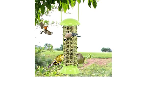 Amazon Com Wild Bird Feeders Finch Bird Automatic Feeder With