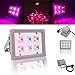 Lvjing New 12W LED Flood Grow Light with US Plug Full Spectrum for Indoor Flowering Plants and Hydroponics System