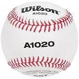 Wilson A1020 Bsst Leather Baseballs 1 Dozen