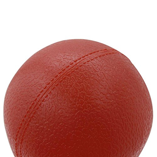 image for Dilwe 2Pcs Portable Plastic Maracas Wood Handle Egg Shakers Sand Hamme