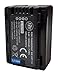 BM Premium 2 VW-VBT190 Batteries and Dual Battery Charger for Panasonic HC-V800K, HC-VX1K, HC-WXF1K, HCV510, V520, V550, V710, HCV720, HC-V750, HC-V770, HC-VX870, HC-VX981, HC-W580, HC-W850, HC-WXF991