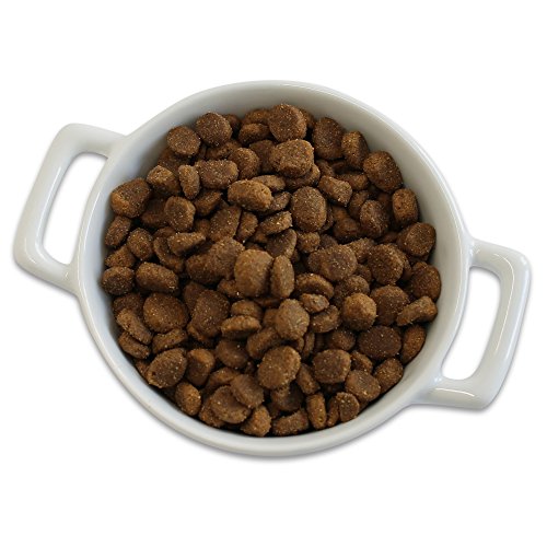 Merrick Grain Free Large Breed Dry Dog Food Pricepulse