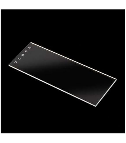 Globe Scientific 1328 Borosilicate Glass Microscope Slide, 90° Ground - View #8