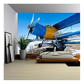 Old Airplanes Parked on a Meadow with Snow in a Sunny Day - Removable Wall Mural | Self-Adhesive Large Wallpaper - 66x96 inches