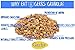 Gerbs Original Seed n' Honey Granola, 2 LBS. - Top 14 Food Allergy Free & Non GMO - Keto Safe - Made in Rhode Island …