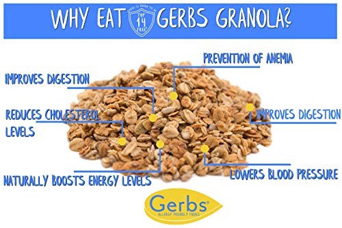 GERBS Original Seed n' Honey Granola, 14 ounce Bag, Top 14 Food Allergy Free, NON GMO - Image 6