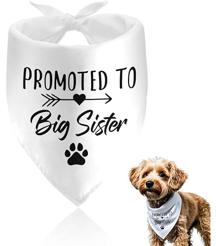 Baby Security In Training Dog Bandana Pet Scarf Dog Pregnancy