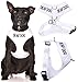 Deaf Dog (Dog Has Limited/No Hearing) White Colour Coded Non-Pull Front and Back D Ring Padded and Waterproof Vest Dog Harness Prevents Accidents by Warning Others of Your Dog in Advance (M)